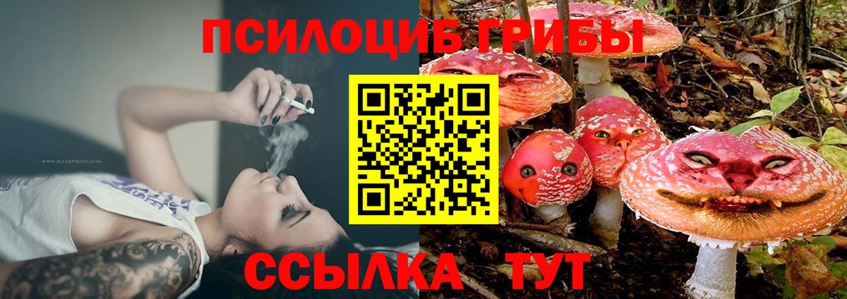 Псилоцибиновые грибы Psilocybine cubensis Нижнеудинск